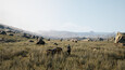 Screenshot #3