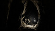 Screenshot #7