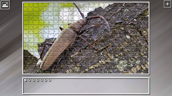Super Jigsaw Puzzle: Generations - Bugs 2