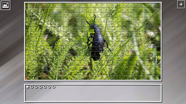 Super Jigsaw Puzzle: Generations - Bugs 2