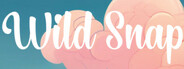 Capsule media
