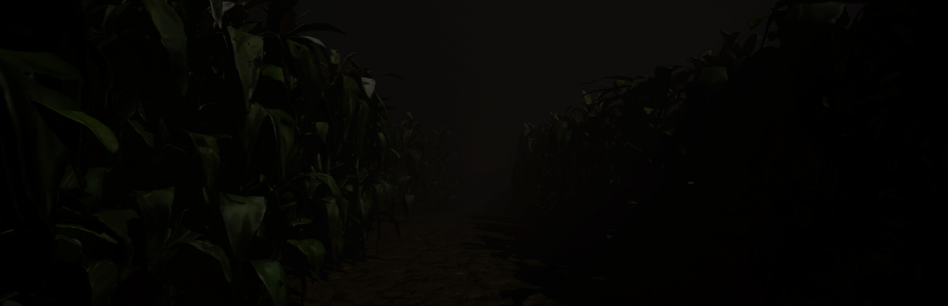 The Corn Maze