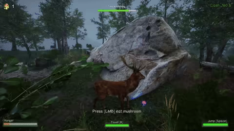HuntNPrey video 2