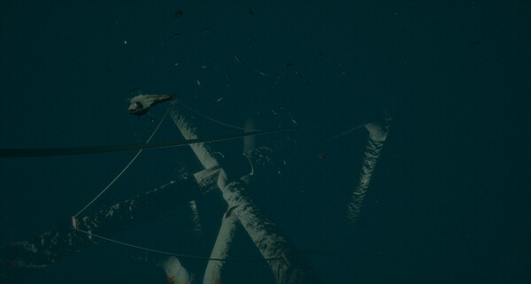 Screenshot of Dark of the Depths gameplay showing in-action mechanics