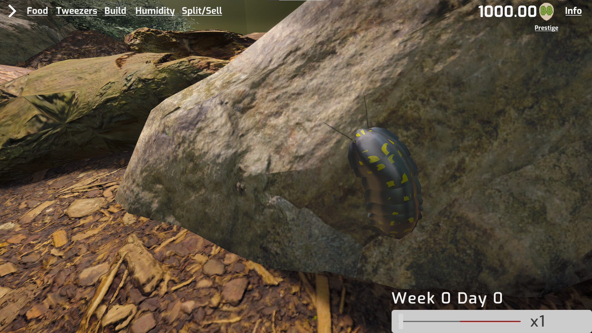 Isopod Keeping Simulator screenshot 8