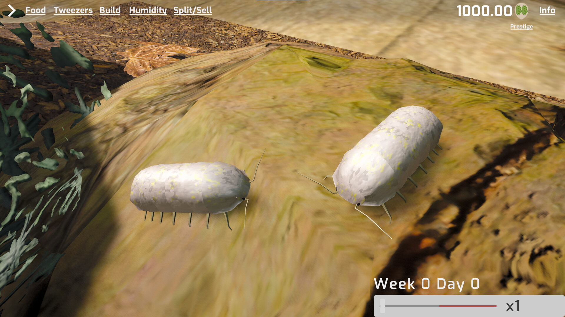 Isopod Keeping Simulator screenshot 5