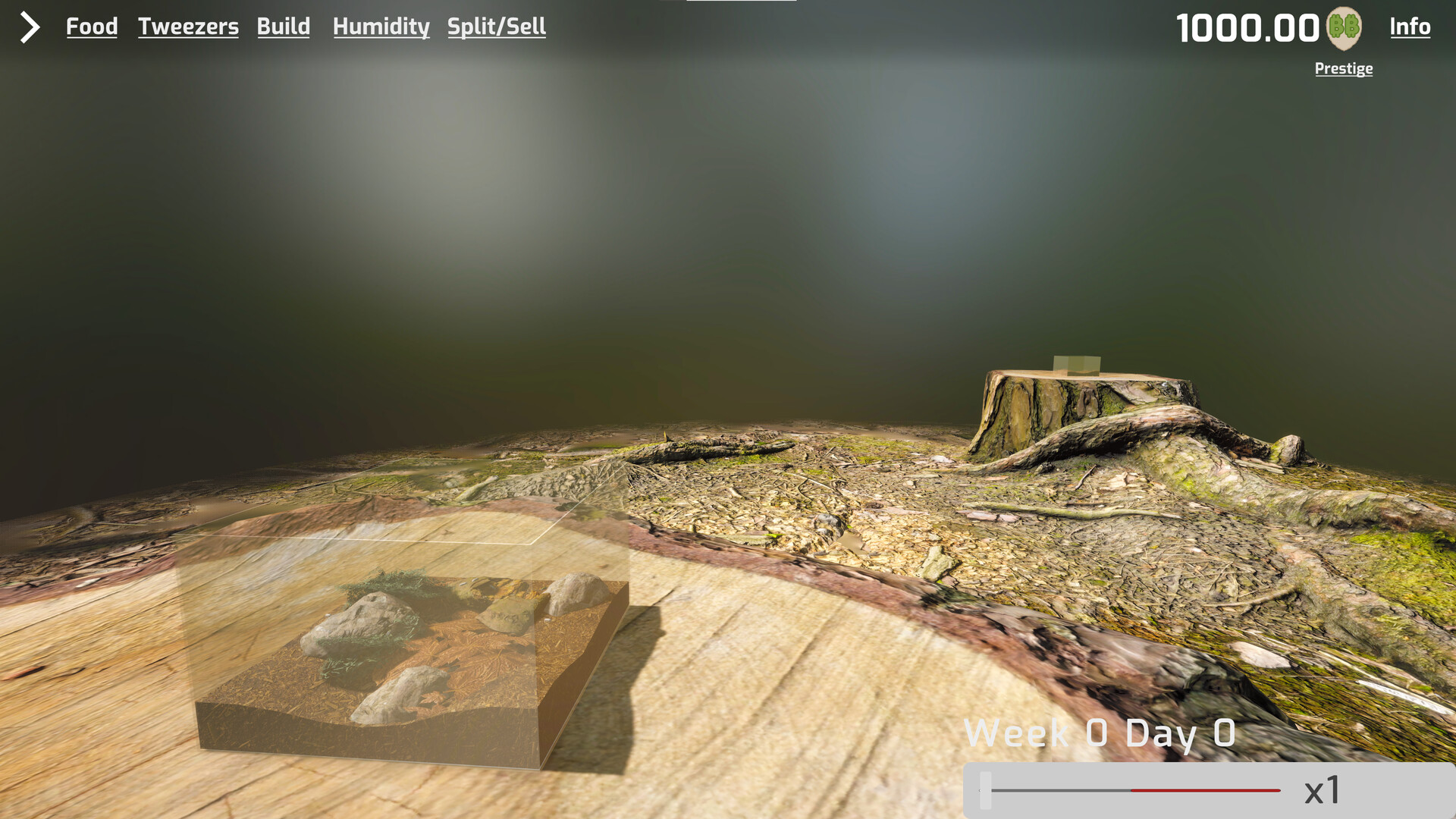 Isopod Keeping Simulator screenshot 2