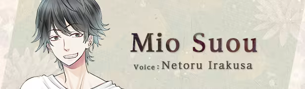 The Town of Nie Iromusubi image