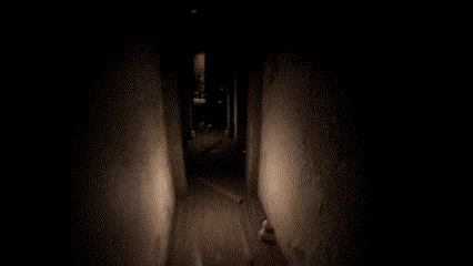 TheSilentSnowfall video 2