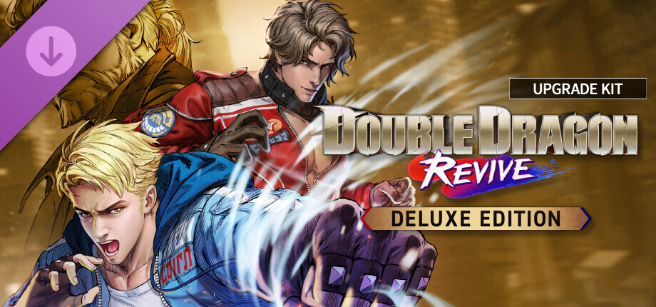 Double Dragon Revive Deluxe Edition Upgrade Kit cover art
