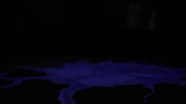 The Shadow Beneath video 8