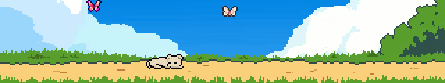 Homebound Path video 1