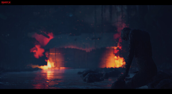 SHOCK — 12