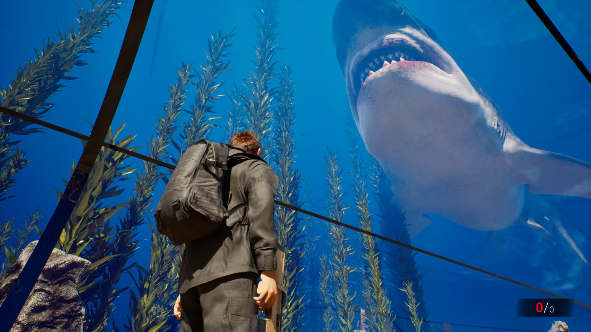 Clawed screenshot #2