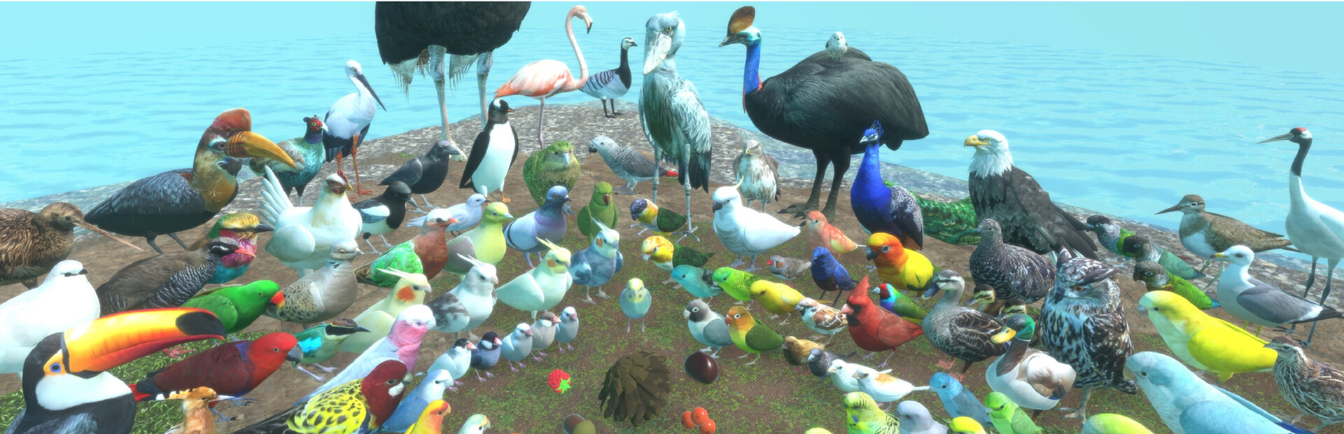 Birds and Nuts