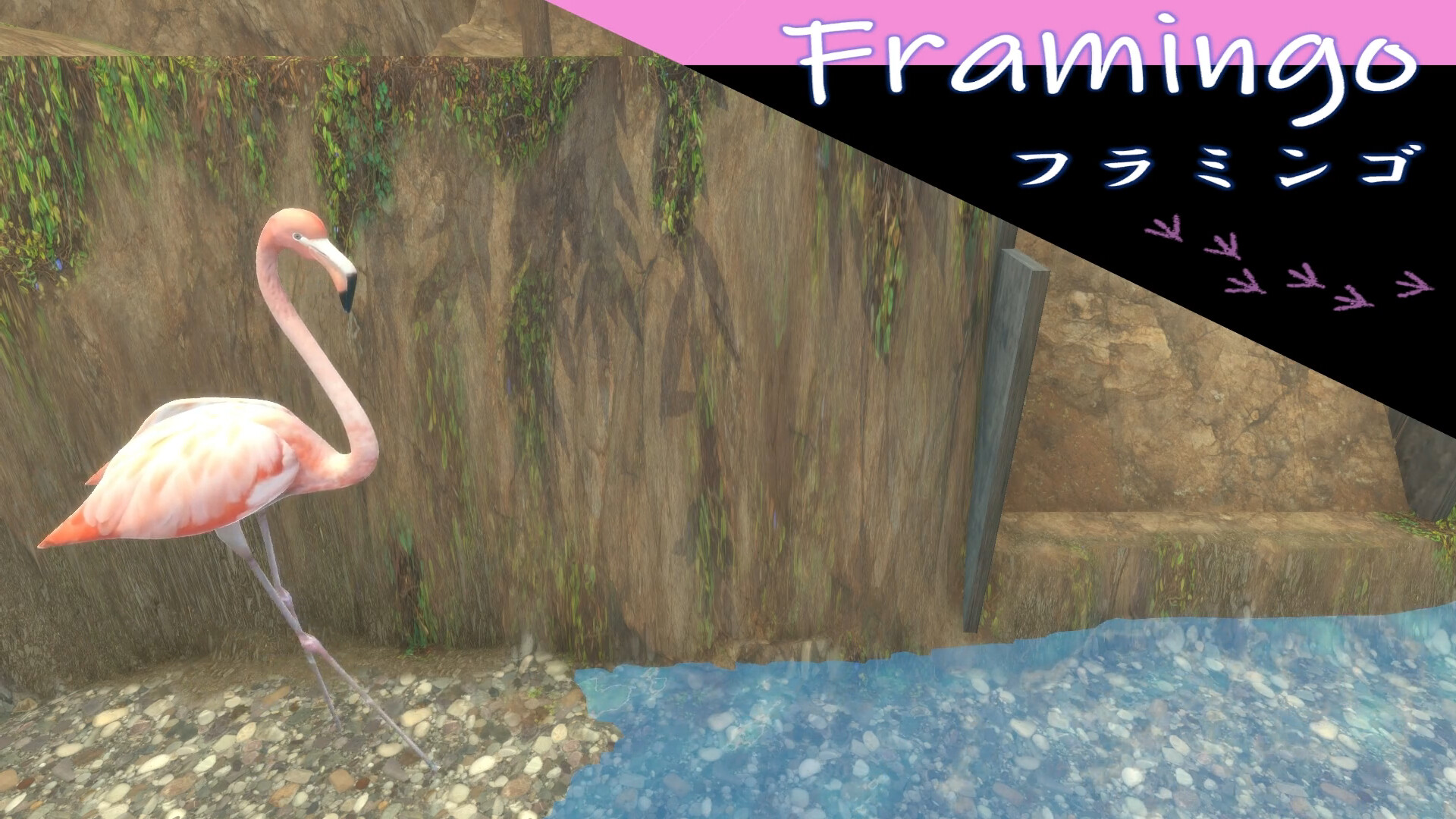 トリと木の実 screenshot #3