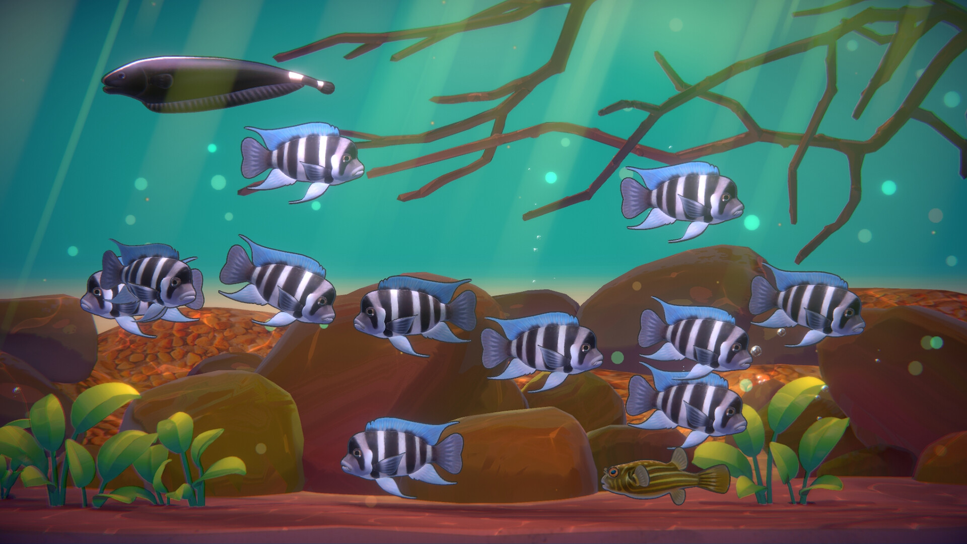 With Me: Aquatic Time screenshot #5
