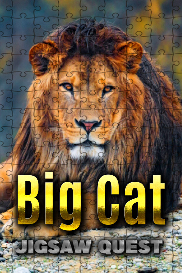Capa de Big Cat Jigsaw Quest