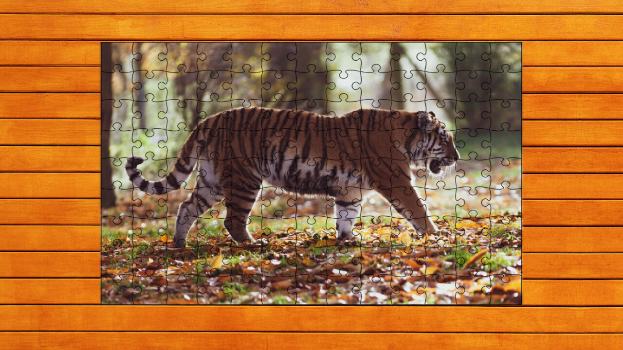 Big Cat Jigsaw Quest screenshot #6