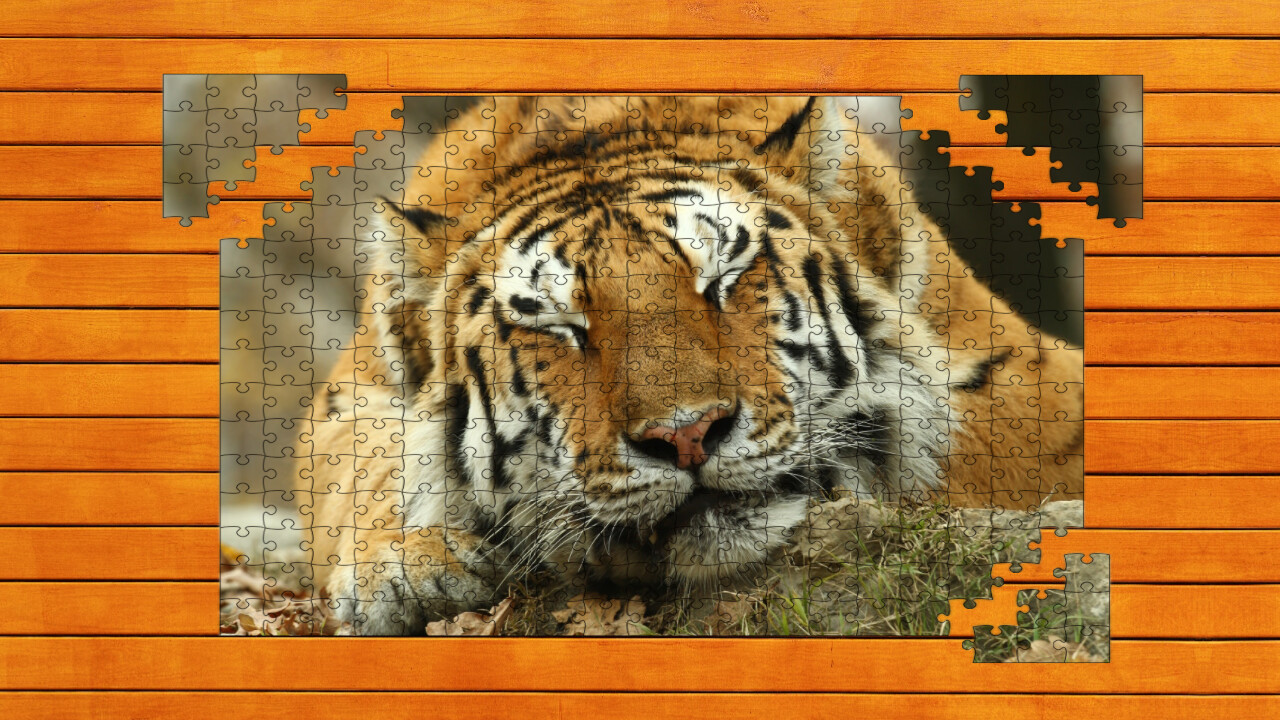 Big Cat Jigsaw Quest screenshot #5