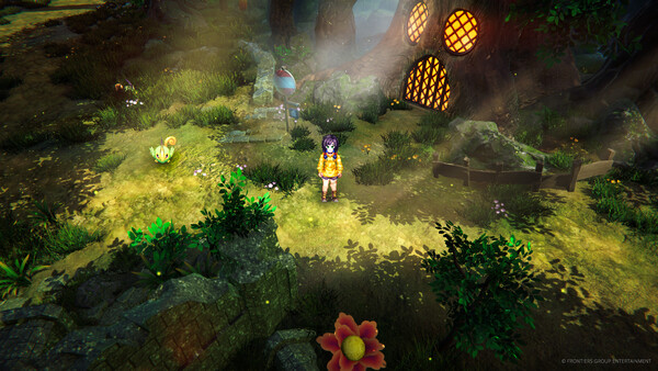 Screenshot media