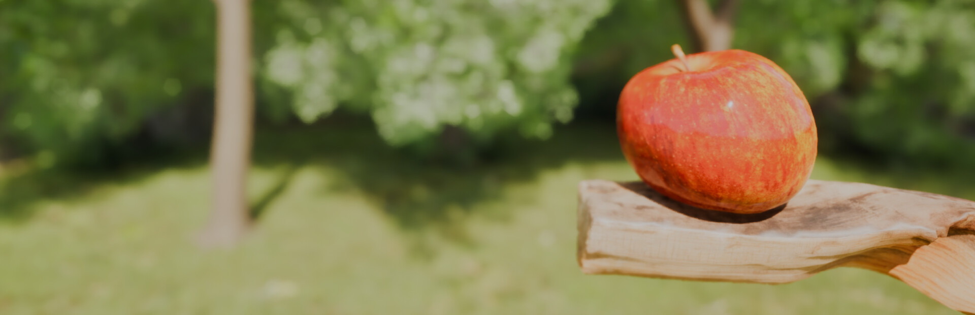 Gravity's Apple