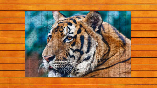Big Cat Jigsaw Quest - Expansion Pack 1