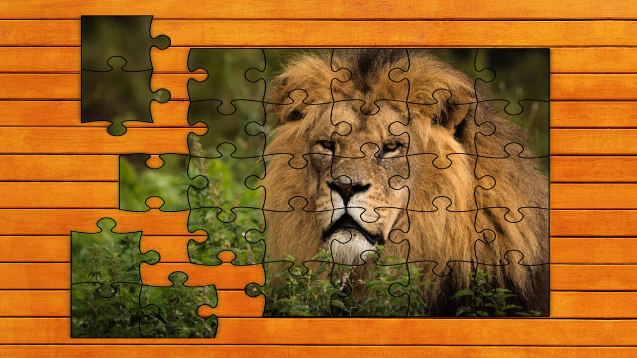 Big Cat Jigsaw Quest - Expansion Pack 1 Featured Screenshot #1