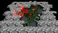 Screenshot #1