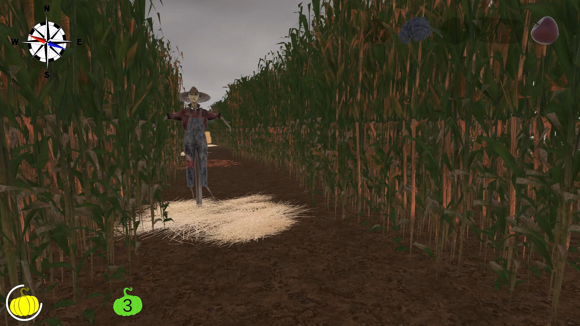 MAiZE screenshot #25