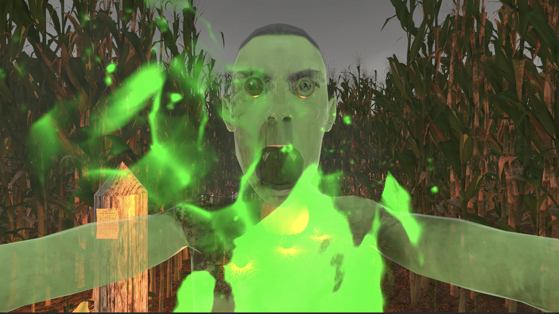 MAiZE screenshot #2
