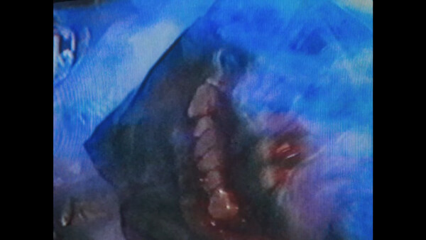 Dead Format screenshot 6