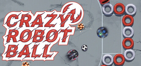 Crazy Robot Ball cover art