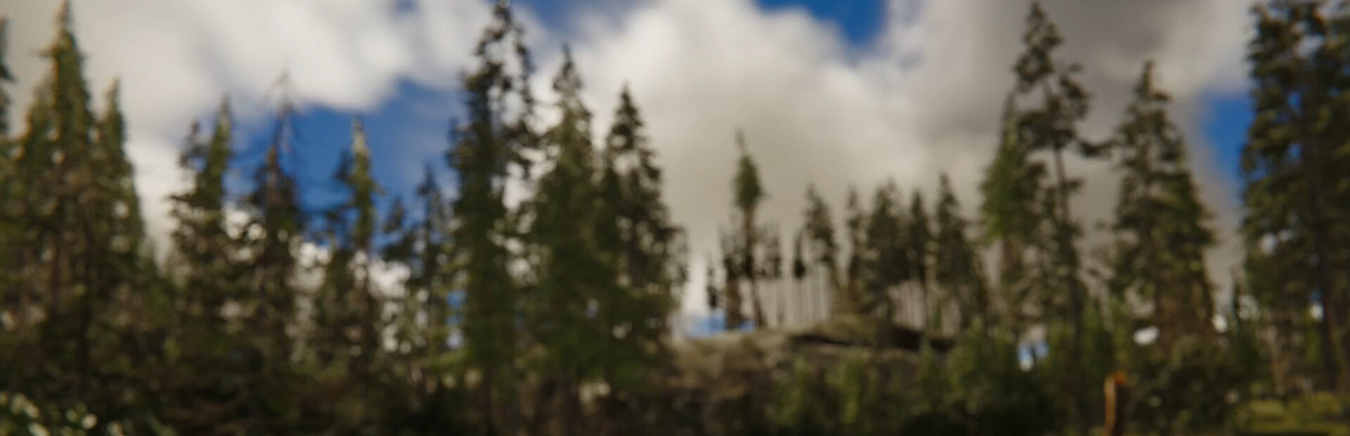 Pohinki Simulator