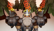 Screenshot #2