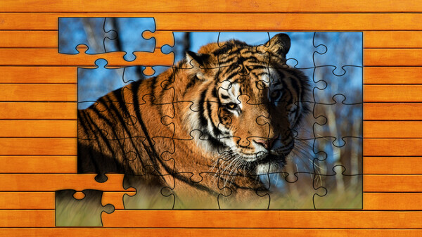 Big Cat Jigsaw Quest - Expansion Pack 2