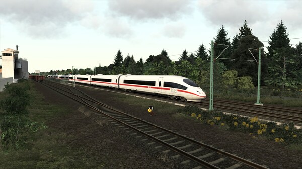 TS Marketplace: Rheintalbahn Scenario Pack Vol. 1 — скриншот 7