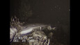 Screenshot #6
