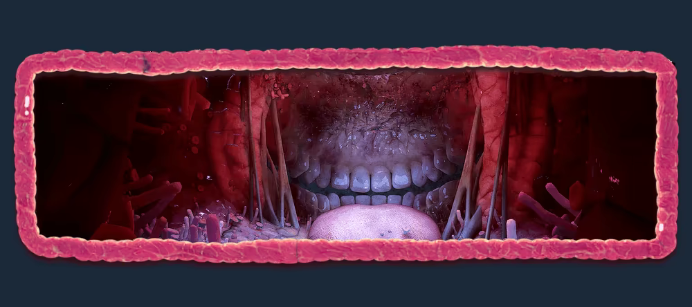 Someone's Inside Me video 2