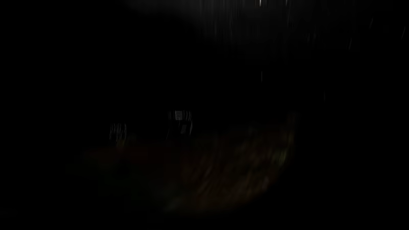 That Village video 3