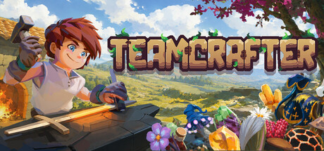 Teamcrafter capsule