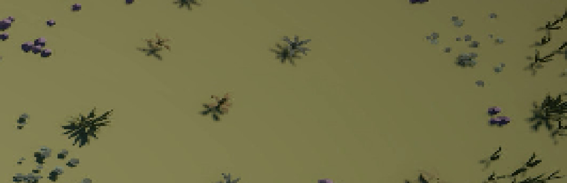 Defense Duel