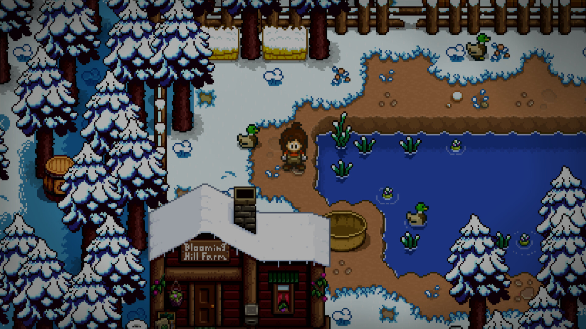 Timora Isle screenshot #10