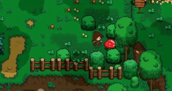 Timora Isle video 6