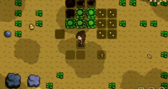 Timora Isle video 2
