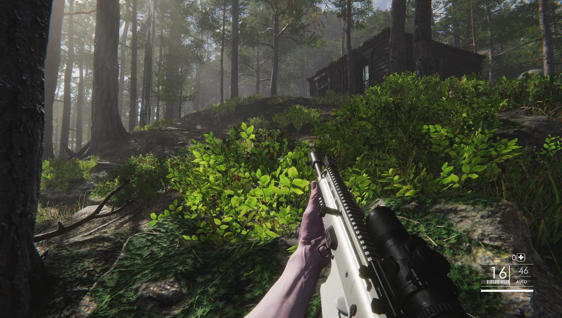 Rogue & Raccoon screenshot 1