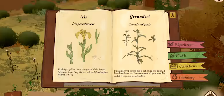 The Abbess Garden video 3