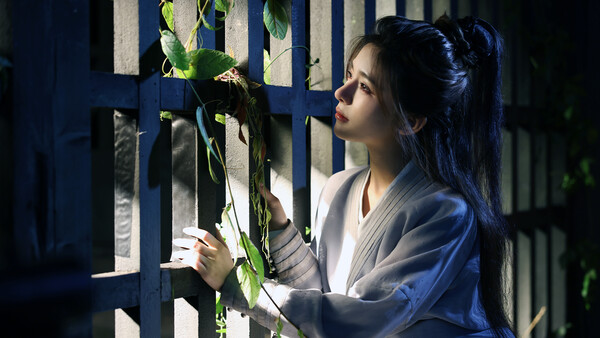 The Three Kingdoms: Rebirth