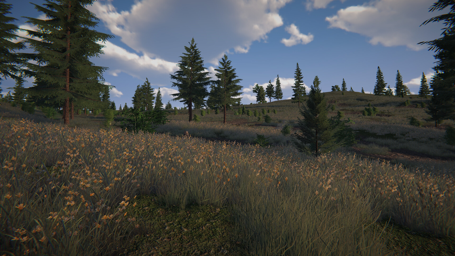 Birds Hunter screenshot #8