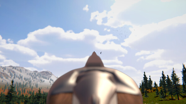 Birds Hunter screenshot 5